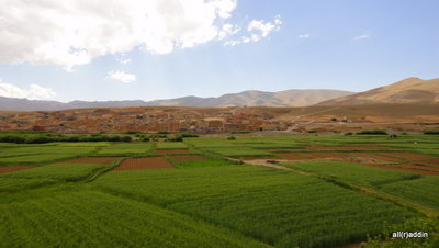 DSC01370.JPG