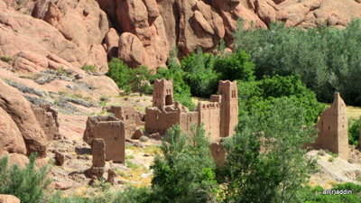 IMG_0765.JPG