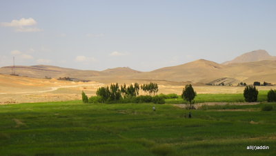 DSC01413.JPG