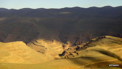 DSC01389.JPG