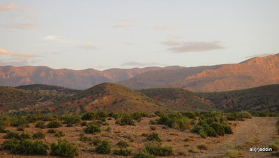 DSC01462.JPG