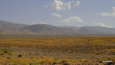 DSC01454.JPG