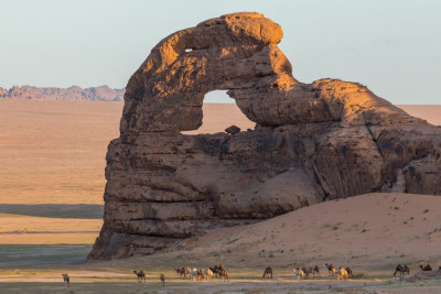 Wüstenland Saudi Arabien