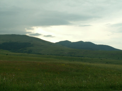 PICT5517.JPG