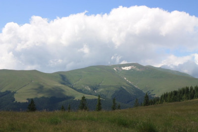 IMG_7745.JPG