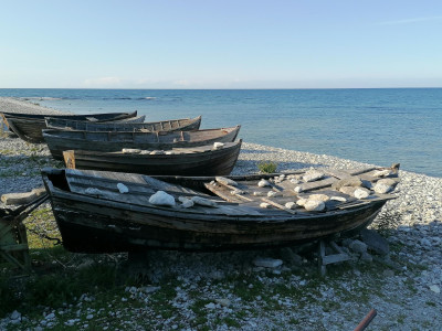 IMG_20230824_170604.jpg