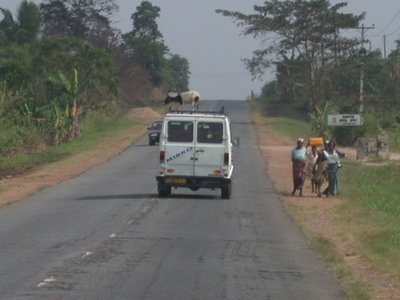 african Transport