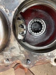 IMG_7016.jpeg
