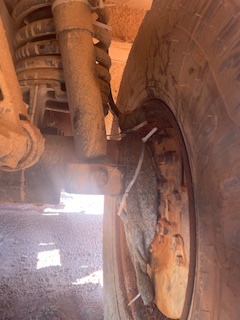 IMG_7184.jpeg