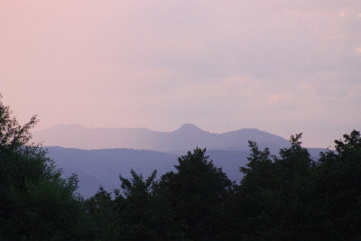 IMG_9738.JPG