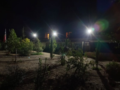 21 089.jpg