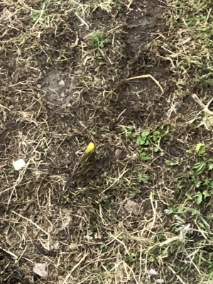 IMG_7491.jpeg