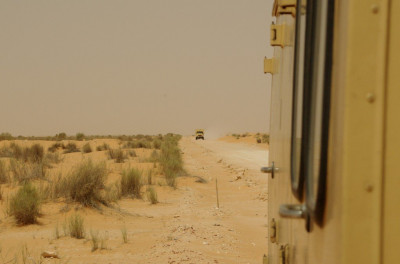 IMGP4450_2_b.jpg