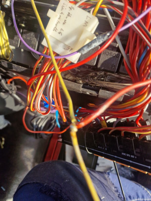20260123_105651.jpg