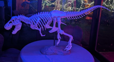 t-rex.jpg