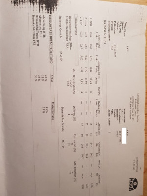 Bremsgutachten M-Deutz.jpg