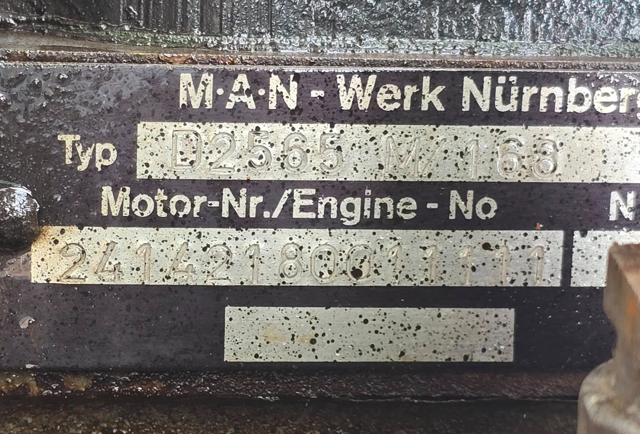 498162289_9952906171462263_6475014770637120622_n.jpg