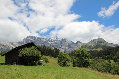 IMG_5339.JPG