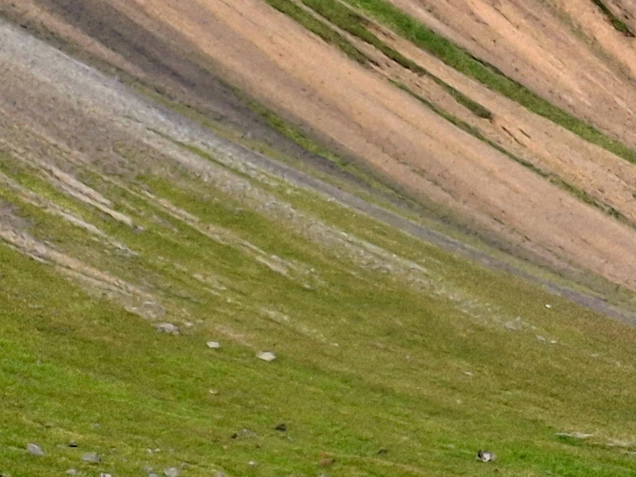20260726_174516.jpg
