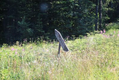 IMG_5558.JPG