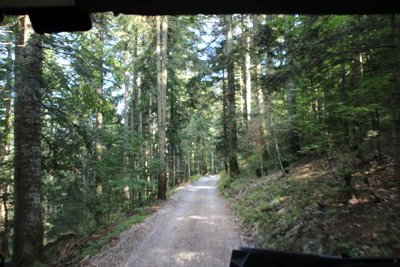 IMG_5556.JPG