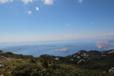 IMG_5544.JPG