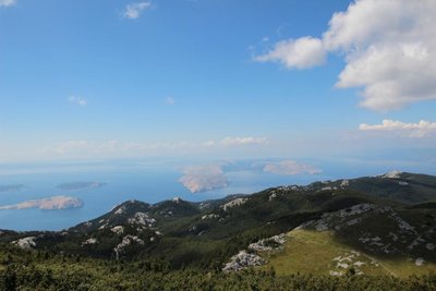 IMG_5543.JPG