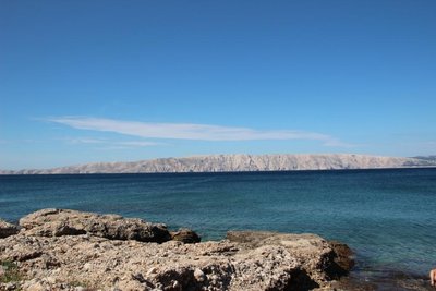 IMG_5493.JPG
