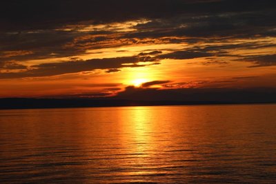 IMG_5480.JPG