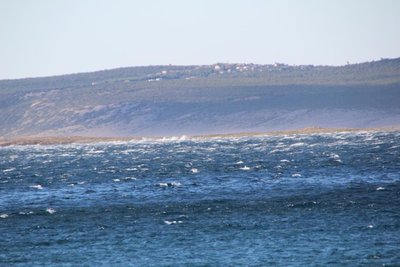 IMG_5683.JPG