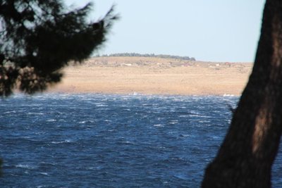 IMG_5679.JPG