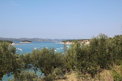IMG_5619.JPG
