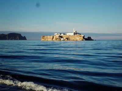 Petersilien Insel