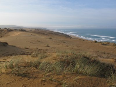 Erster Sand, vielversprechende Ausflüge hier.