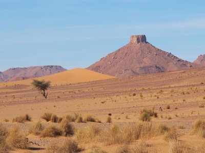 Savanna, Sanddüne, Tafelberg.