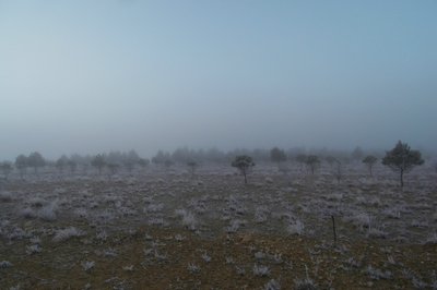 Unsere Heizung können wir nicht an machen weil wir so viele Klamotten für die die es nötig haben mit schleppen ,alles vollgestopft . Bad können wir auch nicht benutzen , auch pickpacke voll . brrrrrrrrr.