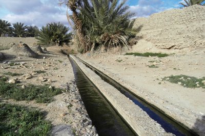 Die Bewässerung der knapp 200.000 Dattelpalmen ist genial . Unzählige Becken , kleine und große Verteiler und hunterte Wasserstrassen .