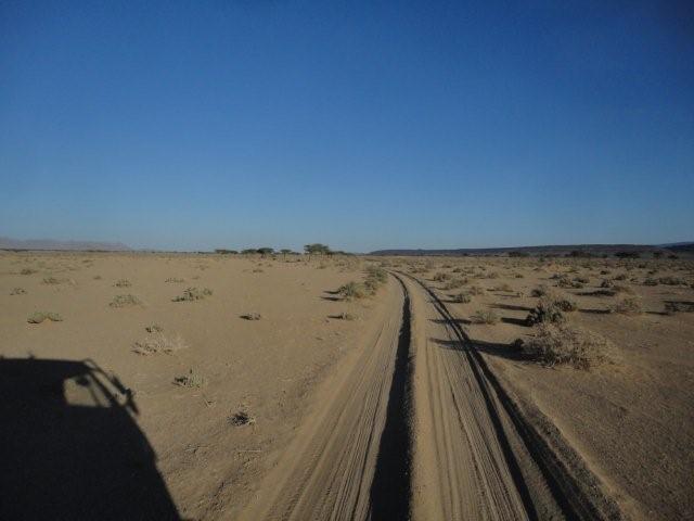 DSC02091.jpg