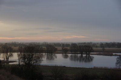 20121230_095018_Oderbruch_009.JPG