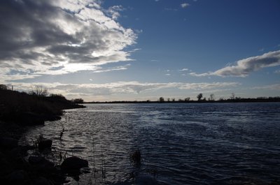 20121230_131816_Oderbruch_036.JPG