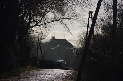 20121230_133821_Oderbruch_044.JPG