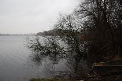 20130103_160000_bei_Angermuende_005.JPG
