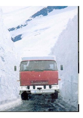 Schnee - mag.JPG