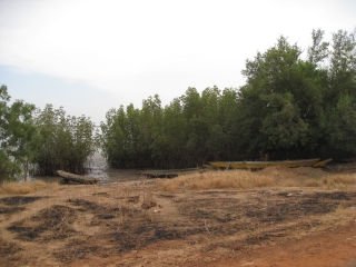 Ein und Zweibaumboote am Gambia.jpg