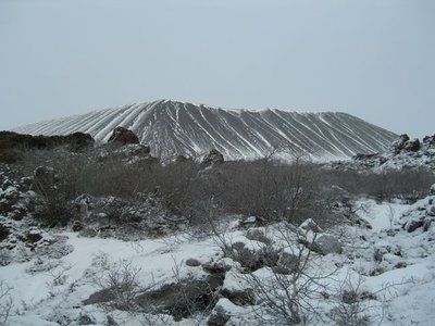 CIMG0732.jpg