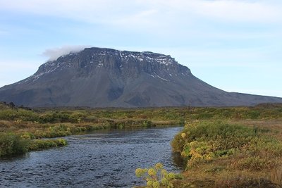 IMG_5919.JPG