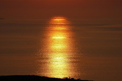 DSC_6408-k.JPG