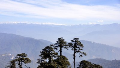_DSC0655a.jpg