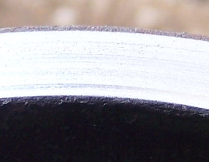 100_8839.JPG