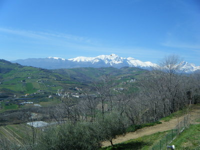 DSCF0839.JPG